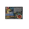 Image 2 : Marvel Universe Series 5 (1994) BASE Trading Card #123 White Queen