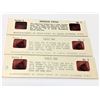 Image 8 : Post 3D Slide Viewer and Slides