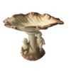 Image 1 : Vintage Soap DIsh