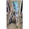 Image 4 : 4 FOOT PAINTERS LADDER