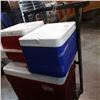 Image 2 : 3 IGLOO COOLERS
