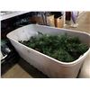Image 1 : CHRISTMAS TREE W/ CONTAINER - APPROX 6FT