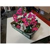 Image 1 : 4 ARTIFICIAL PLANTS