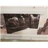 Image 3 : THE VENERATION OF NATURE BY VALERIE METZ, 2/6 INKJET ON ARCHES GALLERY PRICE $1600