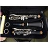 Image 2 : DUOLINA CLARINET AND ANTIGUA VOSI CLARINET