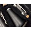 Image 3 : DUOLINA CLARINET AND ANTIGUA VOSI CLARINET