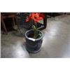 Image 1 : LARGE PLANTER WITH ARTIFICIAL FLOWER