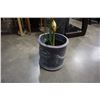 Image 3 : LARGE PLANTER WITH ARTIFICIAL FLOWER