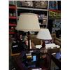 Image 1 : 2 DECORATIVE TABLE LAMPS