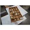 Image 1 : TRAY OF SEA SHELLS