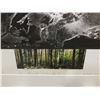 Image 3 : ARE FORESTS FOSSILS BY VALERIE METZ, 1/1 ART GALLERY PRICE $500