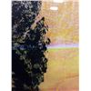 Image 4 : KURT SCHWITTERS BY VALERIE METZ, DIGITAL THERMAL TRANSFER 1/2 V.E., GALLERY PRICE $600