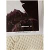 Image 5 : 2 MEHRAM RAZEMPOOSH UNFRAMED PRINTS