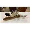 Image 1 : TAXIDERMY DUCK