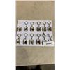 Image 1 : LOT OF ENCASED INSECT KEYCHAINS