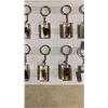 Image 3 : LOT OF ENCASED INSECT KEYCHAINS