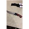 Image 2 : FULL TANG INLAID HUNTING KNIFE WITH SHEATH