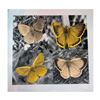 Image 1 : Steve Kaufman (1960-2010), "Four Butterfies" Hand Signed and Numbered Limited Edition Hand Pulled si
