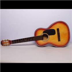 Musical Instrument: Japanese Guitar