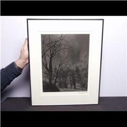 Art Photograph