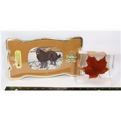 MAPLE LEAF IN ACRYLIC & VINTAGE GANDER NFLD