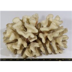 VINTAGE NATURAL CORAL- LARGE PIECE MEASURES 10"