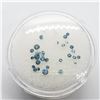 Image 2 : BLUE DIAMOND TREATED(0.4CT)