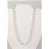 Image 1 : #20-IVORY SEA SHELL PEARL NECKLACE 10mm/15"