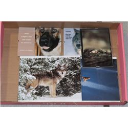 5 FRAMED PICTURES OF WOLVES. 8X10 /5X7 S