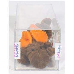 TY CHOCOLATE THE MOOSE 4RD GEN