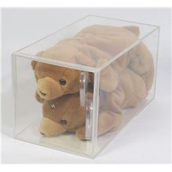 TY CUBBIE GOES BACK TO SCHOOL PEPSI