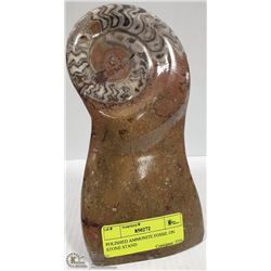 POLISHED AMMONITE FOSSIL ON STONE STAND