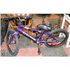 Image 1 : CCM ICE CHILD BIKE