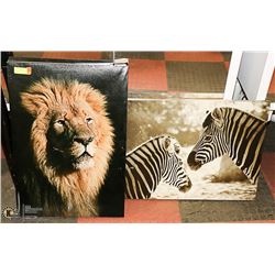 LION AND ZEBRA CANVAS 20" X 28" PICTURES
