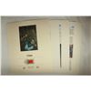 Image 1 : OFFICIAL UNICEF PROOF EDITION PRINT AND STAMP WITH