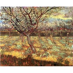 Van Gogh - Apricot Trees In Blossom 2