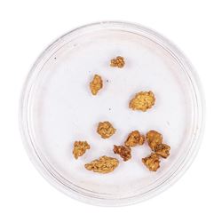 Lot of Gold Nuggets 1.89 Grams Total Weight