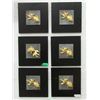 Image 1 : 6 New 2D Gold Fish Wall Art - 12" x 12"