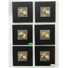 Image 1 : 6 New 2D Gold Fish Wall Art - 12" x 12"