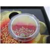 Image 2 : 2013 Canadian "Magnified Beauty" Coloured Coin