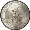 Image 1 : Centennial Medals. Julian CM-11. 57 mm. Bronze and whit 