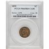 Image 3 : 1895 1C PR65 Red Cameo PCGS. Both sides are fully lust 