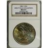 Image 1 : 1881-S S$1 MS67 S NGC. This enticing Superb Gem combi 