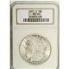 Image 1 : 1921-D S$1 MS66 NGC. A lustrous and brilliant Gem. Gor 