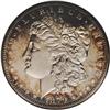 Image 1 : 1879 S$1 PR66 Cameo NGC. Silver centers with a slight 