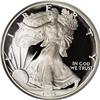 Uncertified 1995-W 10th Anniversary American Eagle Proo 