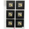 Image 1 : 6 New 3D Gold Fish Wall Art - 12" x 12"