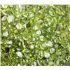 Image 4 : Natural Peridot 50 carats - Untreated