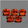 Image 1 : Natural Champagne Imperial Topaz 5 Pcs  {Flawless-VVS1}