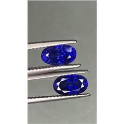 Natural Oval Royal Blue Sapphire Pair - VVS